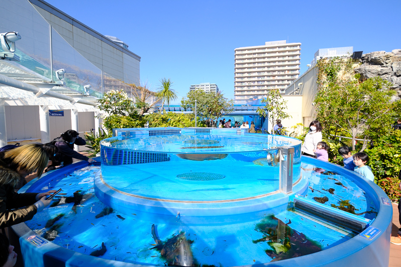 【東京】池袋陽光水族館：