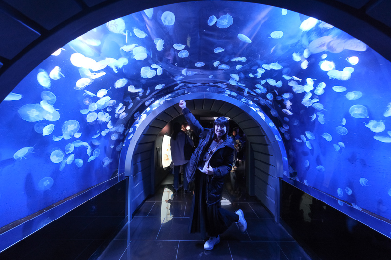 【東京】池袋陽光水族館：