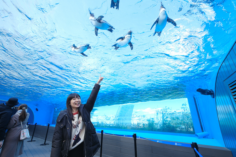 【東京】池袋陽光水族館：