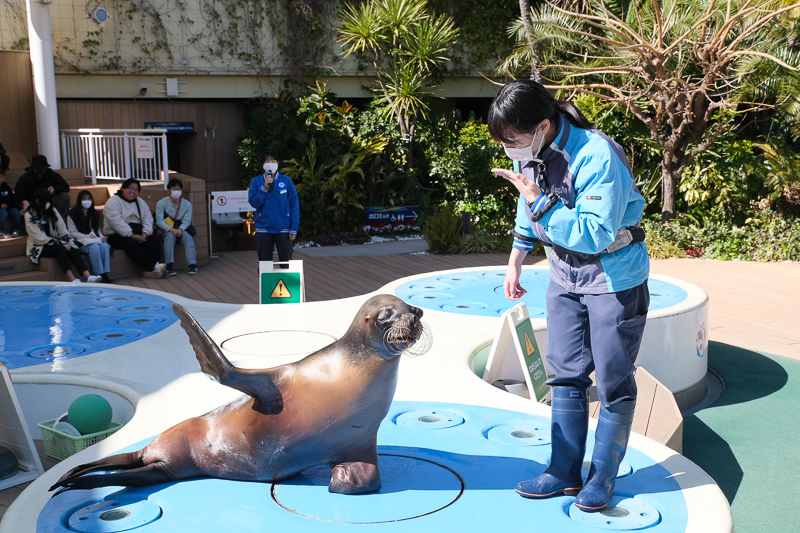 【東京】池袋陽光水族館：