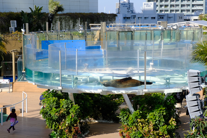 【東京】池袋陽光水族館：