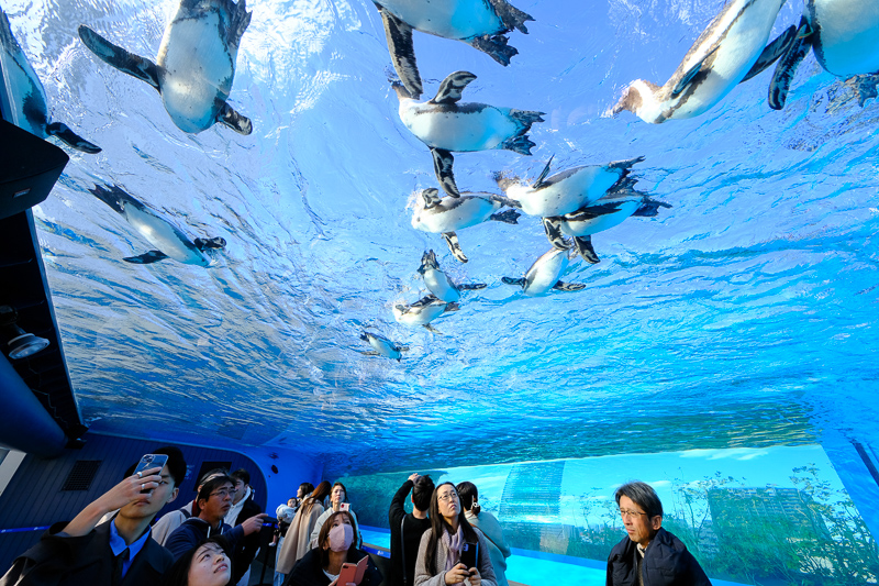 【東京】池袋陽光水族館：