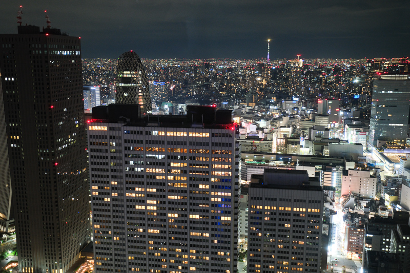 【東京】東京都廳：