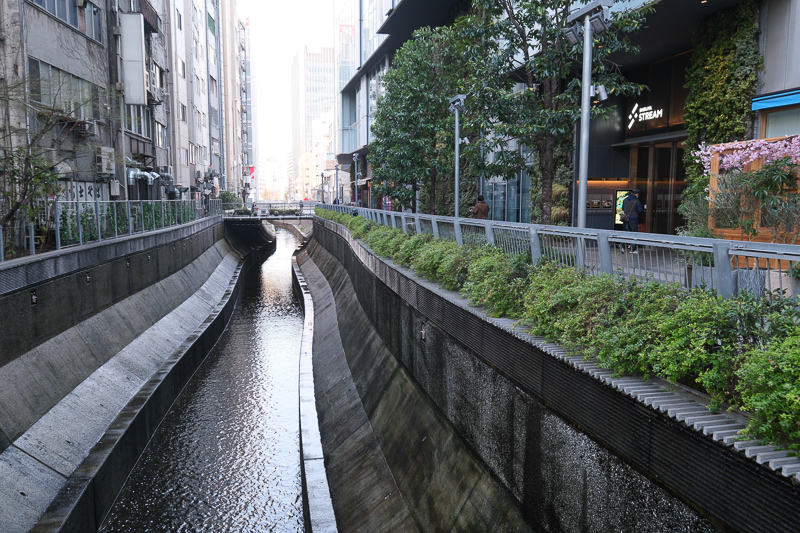 【澀谷景點推薦】2024澀谷逛街一日遊行程！Shibuya Sky、十字路口、PARCO全攻略