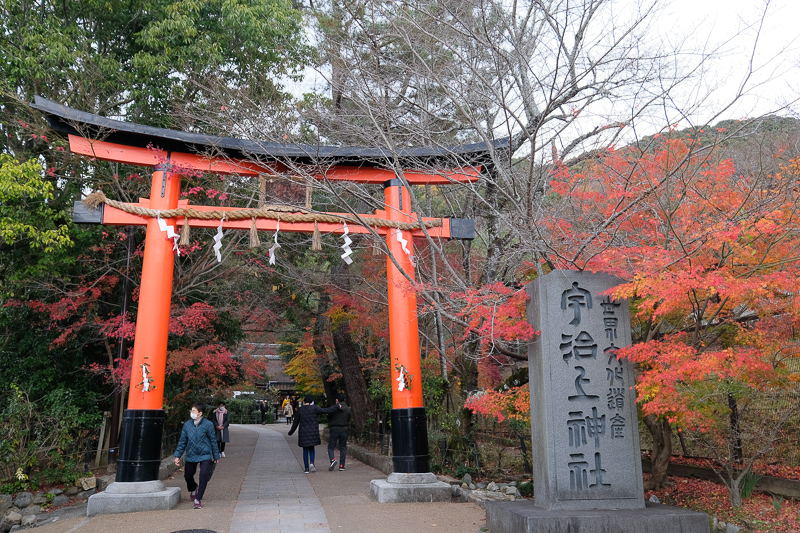 【宇治景點2024】宇治一日遊行程、交通美食全攻略！抹茶控必訪歷史古都