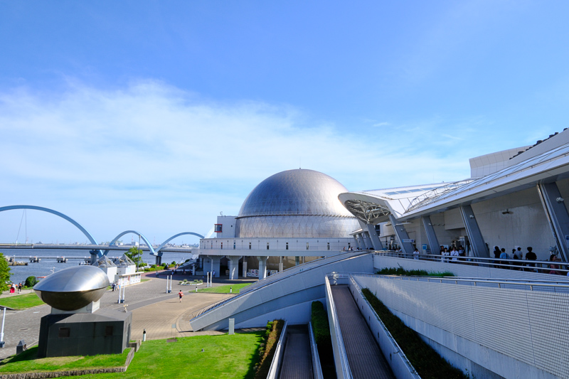 【名古屋港水族館攻略】日本最大水族館！虎鯨、白鯨＆沙丁魚龍捲風超精彩