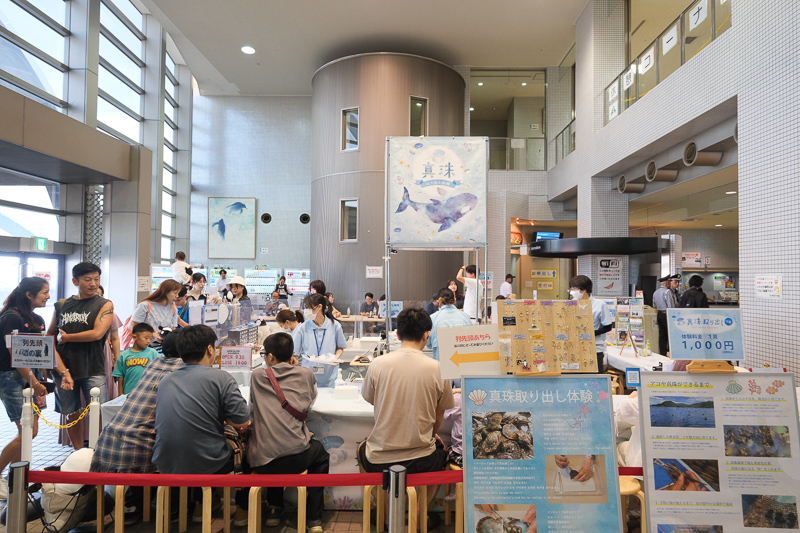 【名古屋港水族館攻略】日本最大水族館！虎鯨、白鯨＆沙丁魚龍捲風超精彩