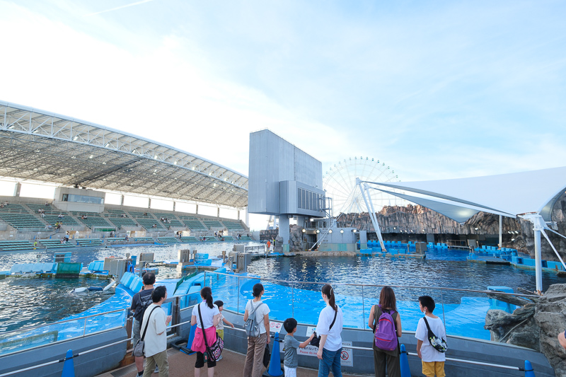 【名古屋港水族館攻略】日本最大水族館！虎鯨、白鯨＆沙丁魚龍捲風超精彩