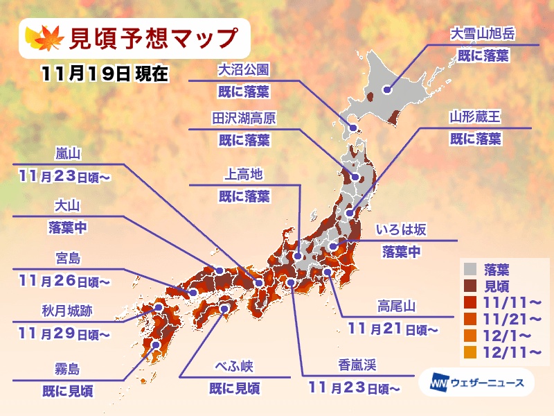 【京都楓葉景點】2025必去京都賞楓景點、紅葉時間情報＆行程規劃全攻略