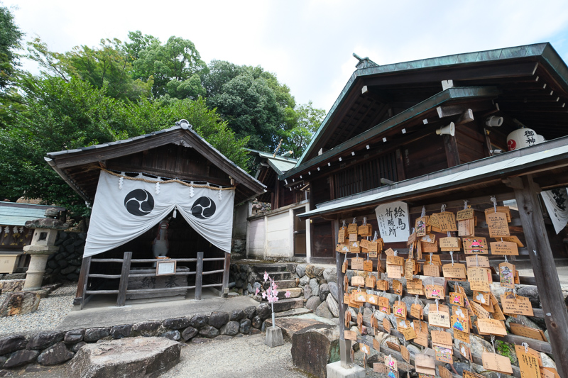 【2025犬山城一日遊】日本最古老天守閣！套票交通＆附近景點美食攻略