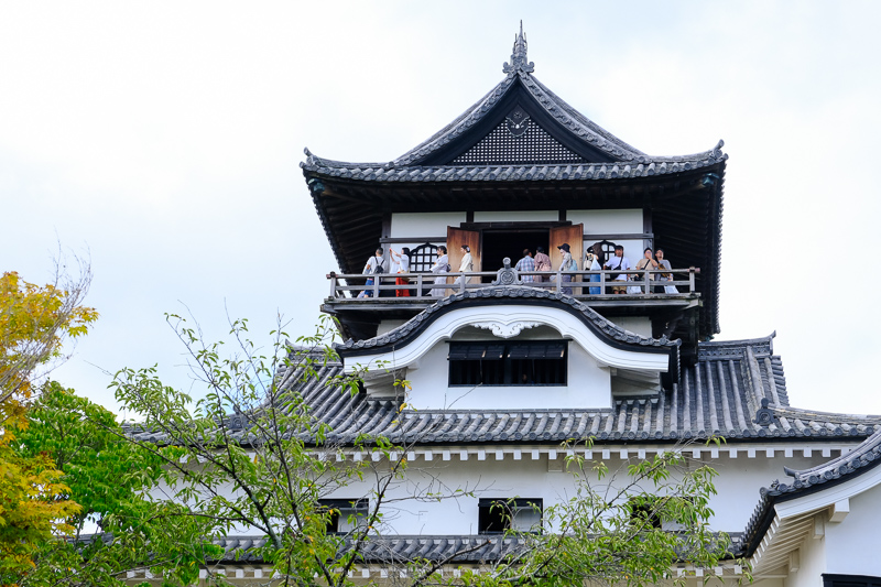 【2025犬山城一日遊】日本最古老天守閣！套票交通＆附近景點美食攻略