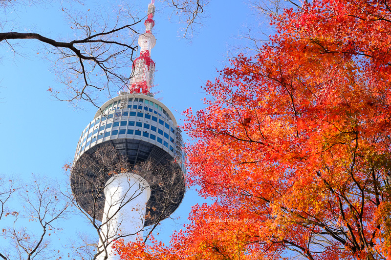 【2025首爾塔攻略】超浪漫韓劇夜景！愛情鎖、南山纜車＆交通門票彙整