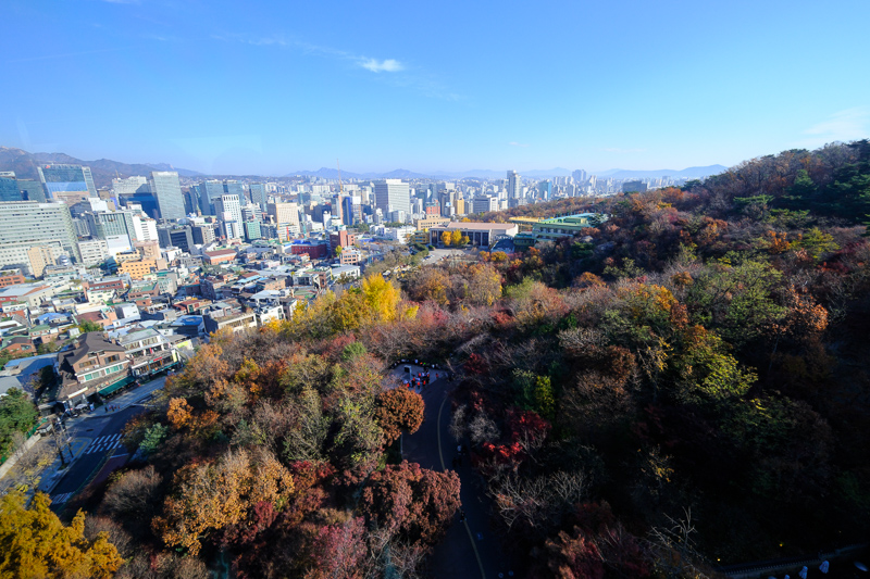 【2025首爾塔攻略】超浪漫韓劇夜景！愛情鎖、南山纜車＆交通門票彙整