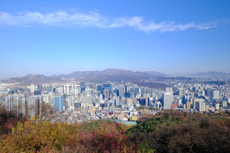 【2025首爾塔攻略】超浪漫韓劇夜景！愛情鎖、南山纜車＆交通門票彙整