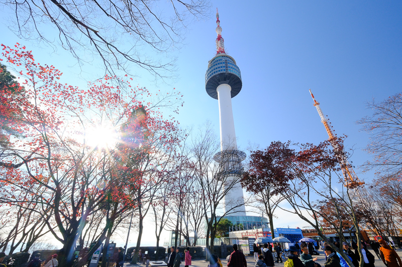 【2025首爾塔攻略】超浪漫韓劇夜景！愛情鎖、南山纜車＆交通門票彙整