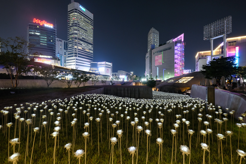 【2025韓國東大門】Top15東大門景點美食！設計廣場、汗蒸幕＆批發市場全攻略