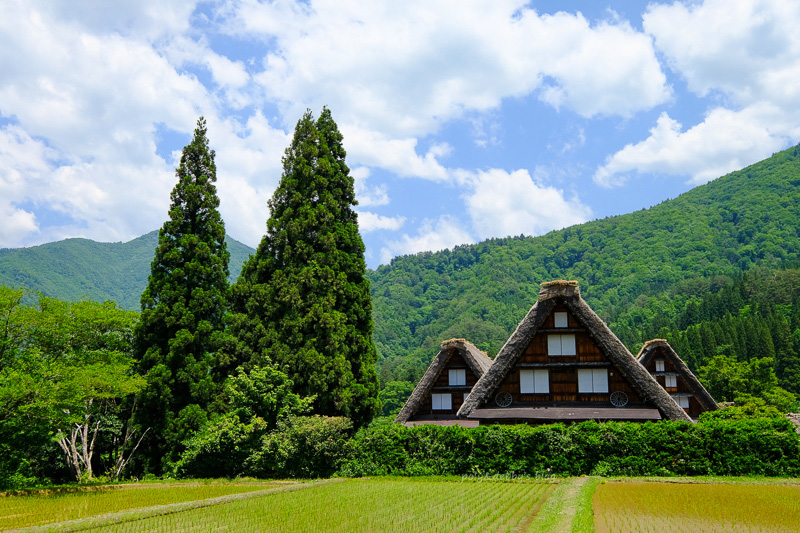 【2025白川鄉合掌村攻略】超夢幻世界遺產聚落！冬天點燈＆一日遊交通彙整