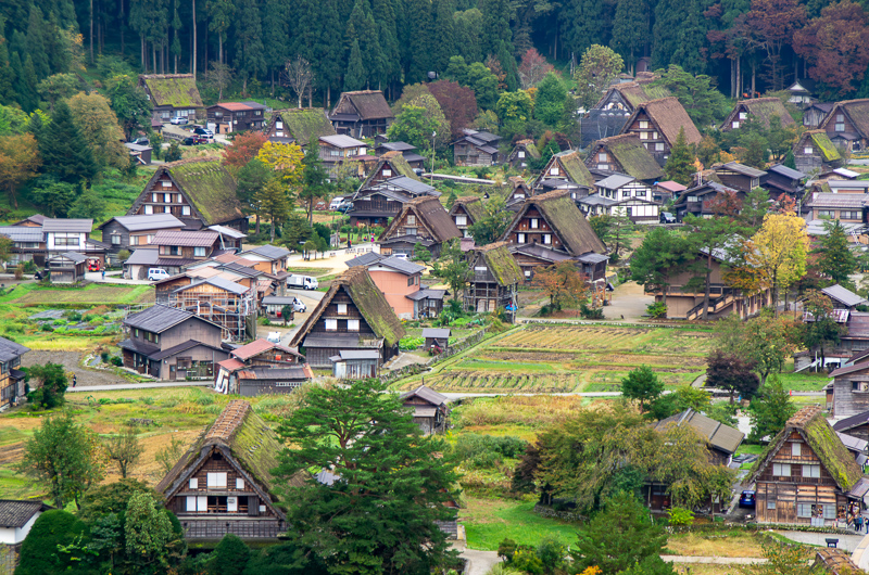 【2025白川鄉合掌村攻略】超夢幻世界遺產聚落！冬天點燈＆一日遊交通彙整