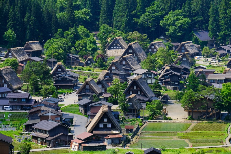 【2025白川鄉合掌村攻略】超夢幻世界遺產聚落！冬天點燈＆一日遊交通彙整