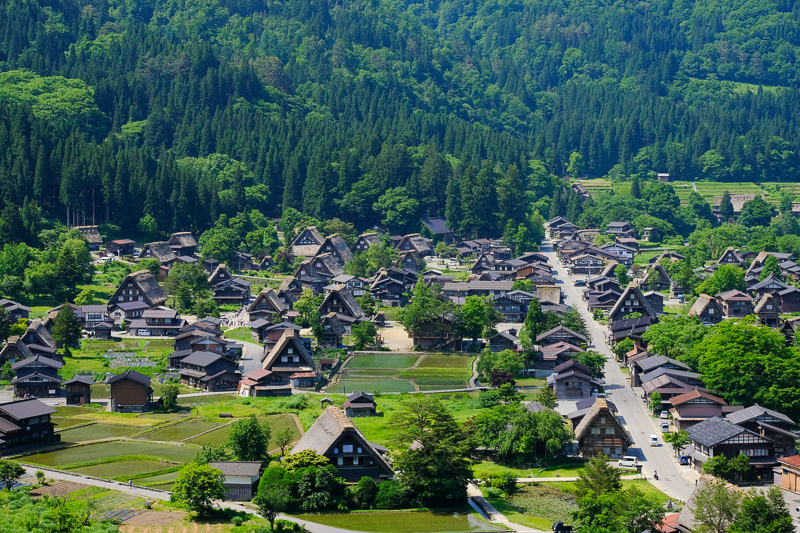 【2025白川鄉合掌村攻略】超夢幻世界遺產聚落！冬天點燈＆一日遊交通彙整