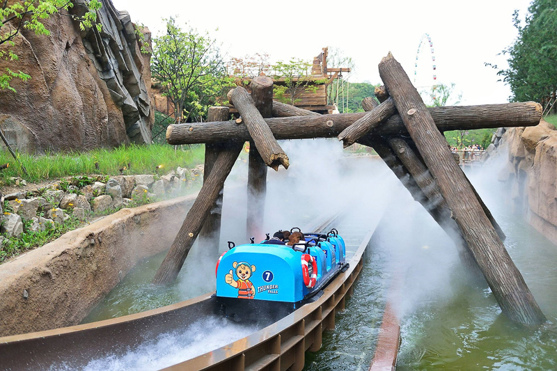 【2025愛寶樂園】韓國最大遊樂園！雲霄飛車、野生動物園＆門票交通全攻略