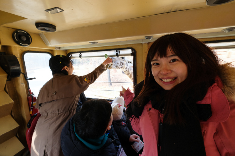 【2025愛寶樂園】韓國最大遊樂園！雲霄飛車、野生動物園＆門票交通全攻略