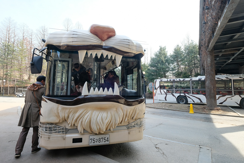 【2025愛寶樂園】韓國最大遊樂園！雲霄飛車、野生動物園＆門票交通全攻略