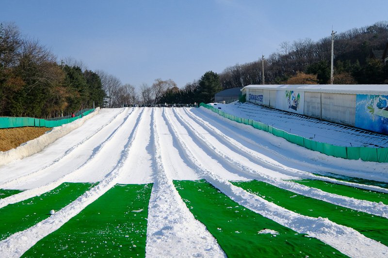 【2025愛寶樂園】韓國最大遊樂園！雲霄飛車、野生動物園＆門票交通全攻略