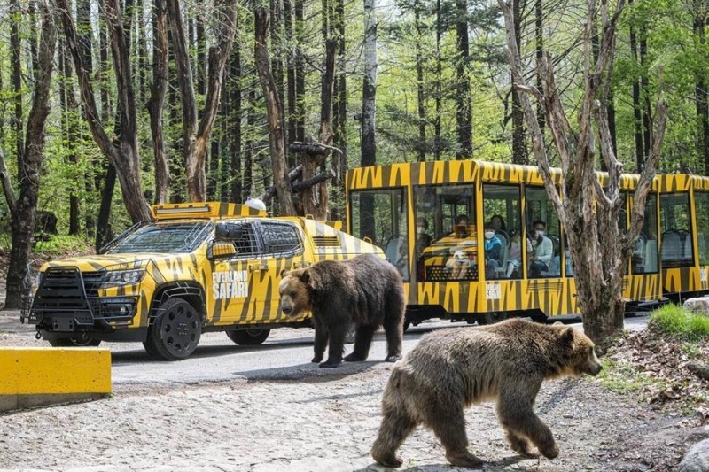 【2025愛寶樂園】韓國最大遊樂園！雲霄飛車、野生動物園＆門票交通全攻略