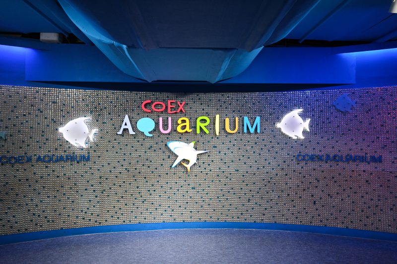 【首爾】COEX水族館：韓國最大室內水族館！2萬隻海洋生物＆美人魚表演好精彩