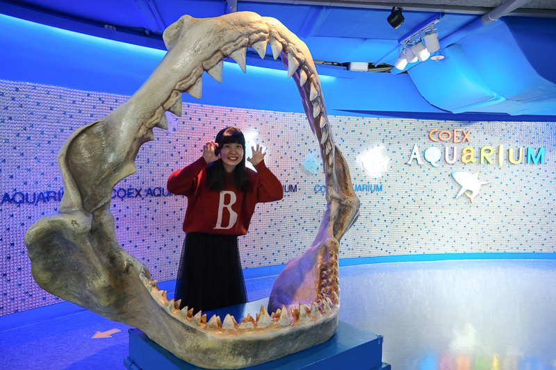 【首爾】COEX水族館：韓國最大室內水族館！2萬隻海洋生物＆美人魚表演好精彩