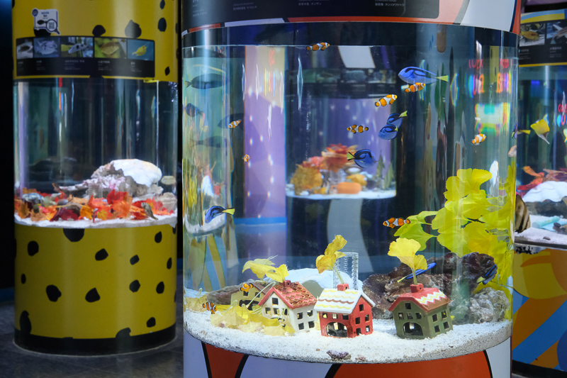 【首爾】COEX水族館：韓國最大室內水族館！2萬隻海洋生物＆美人魚表演好精彩