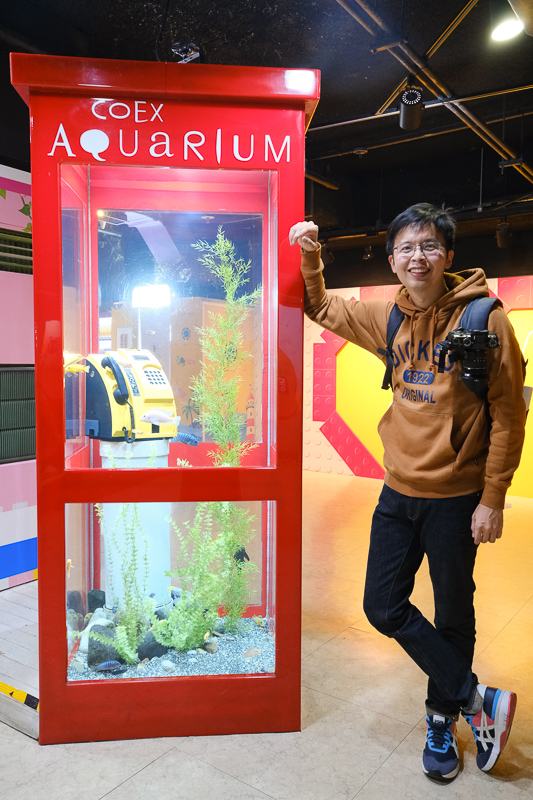 【首爾】COEX水族館：韓國最大室內水族館！2萬隻海洋生物＆美人魚表演好精彩