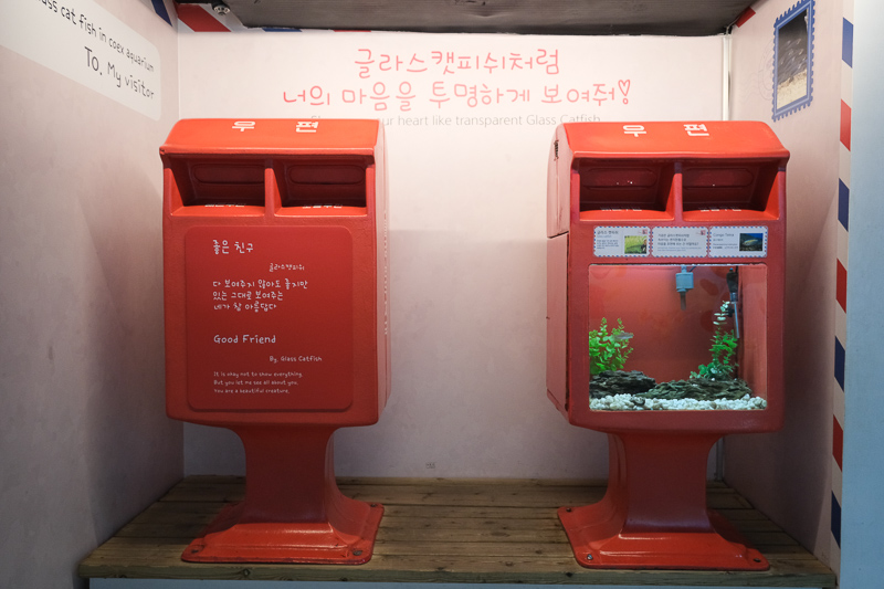【首爾】COEX水族館：韓國最大室內水族館！2萬隻海洋生物＆美人魚表演好精彩