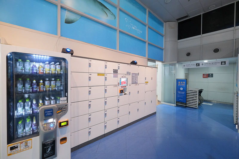 【首爾】COEX水族館：韓國最大室內水族館！2萬隻海洋生物＆美人魚表演好精彩