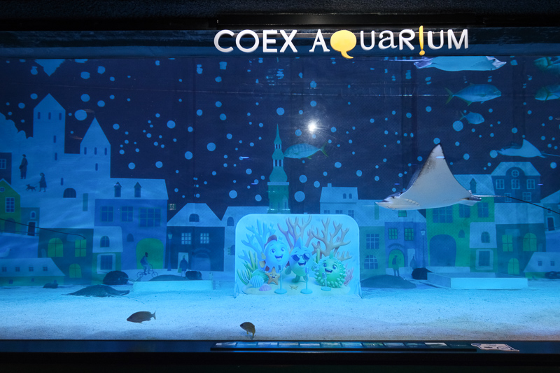 【首爾】COEX水族館：韓國最大室內水族館！2萬隻海洋生物＆美人魚表演好精彩