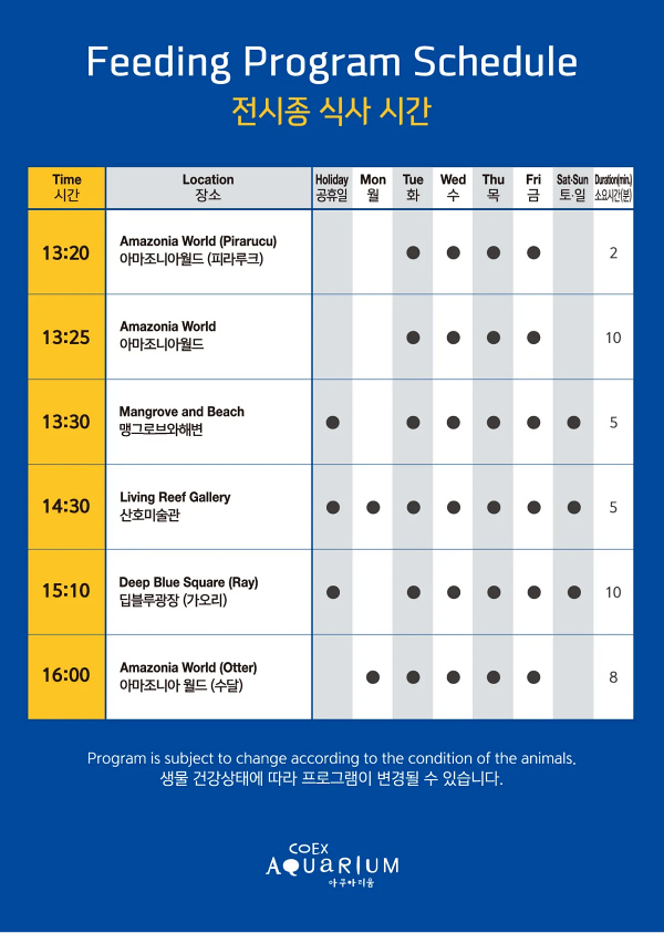 【首爾】COEX水族館：韓國最大室內水族館！2萬隻海洋生物＆美人魚表演好精彩