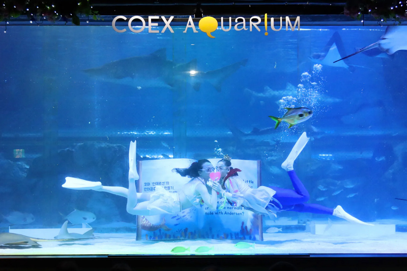 【首爾】COEX水族館：韓國最大室內水族館！2萬隻海洋生物＆美人魚表演好精彩