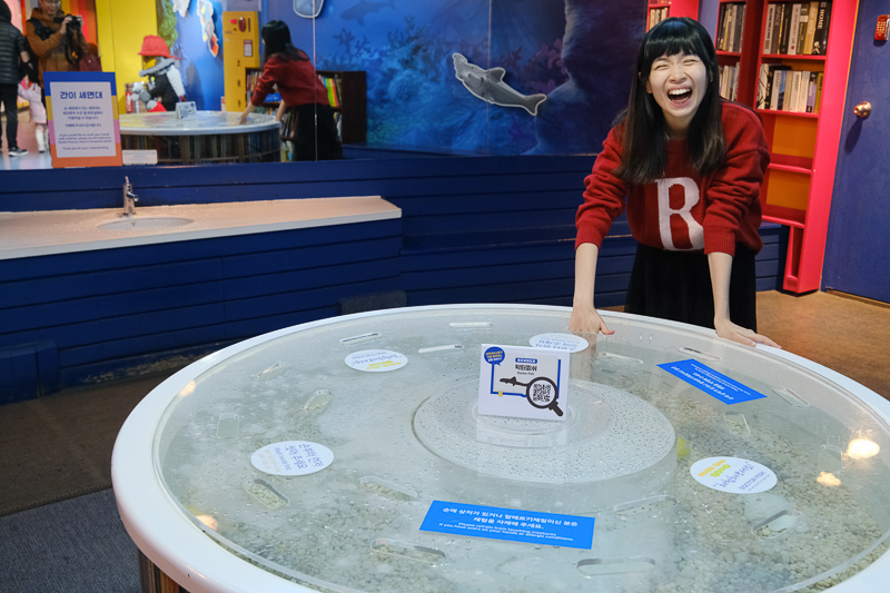 【首爾】COEX水族館：韓國最大室內水族館！2萬隻海洋生物＆美人魚表演好精彩