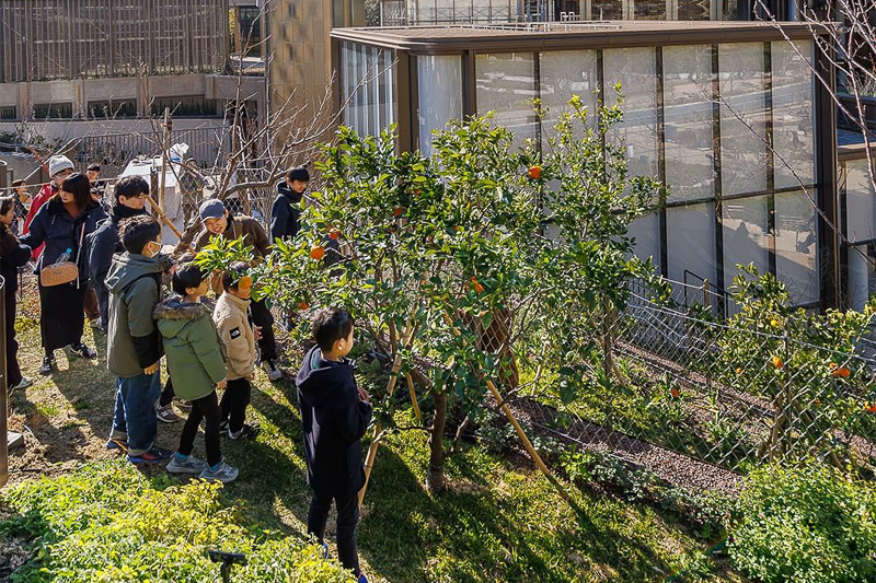 【2024東京麻布台之丘】日本第一高樓！展望台夜景、美食必逛