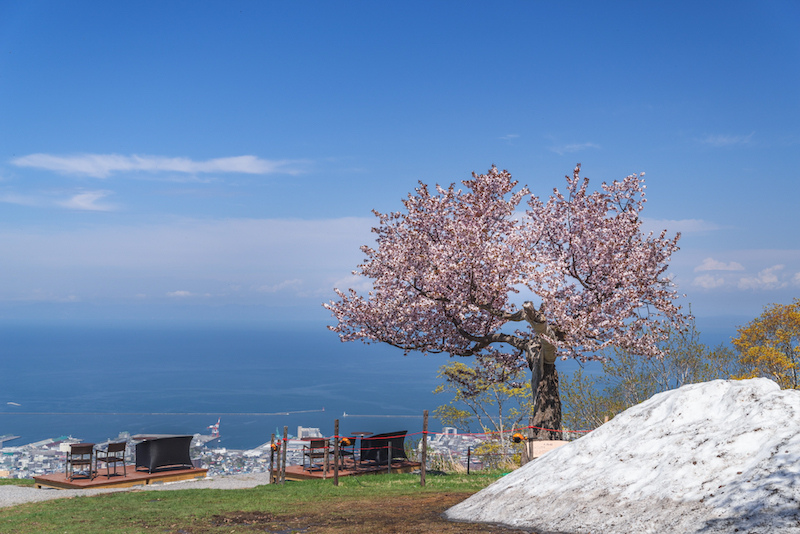 【小樽景點推薦】2024北海道小樽一日遊行程！小樽運河、堺町