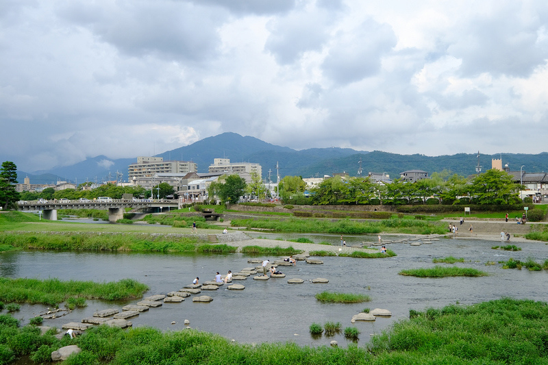 【京都】鴨川：納涼床＆跳烏龜好有趣！景點櫻花、美食交通＆一日