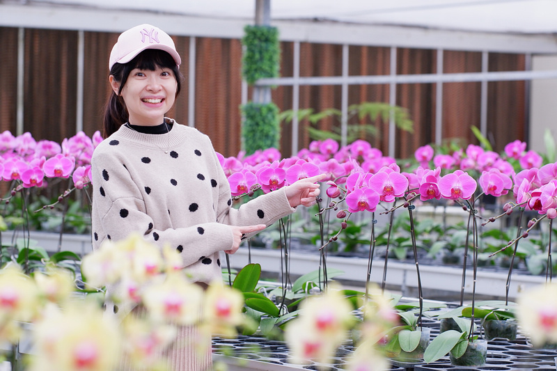 【宜蘭】金車礁溪蘭花園：不只能賞花！和水豚、狐獴、貓咪親密接