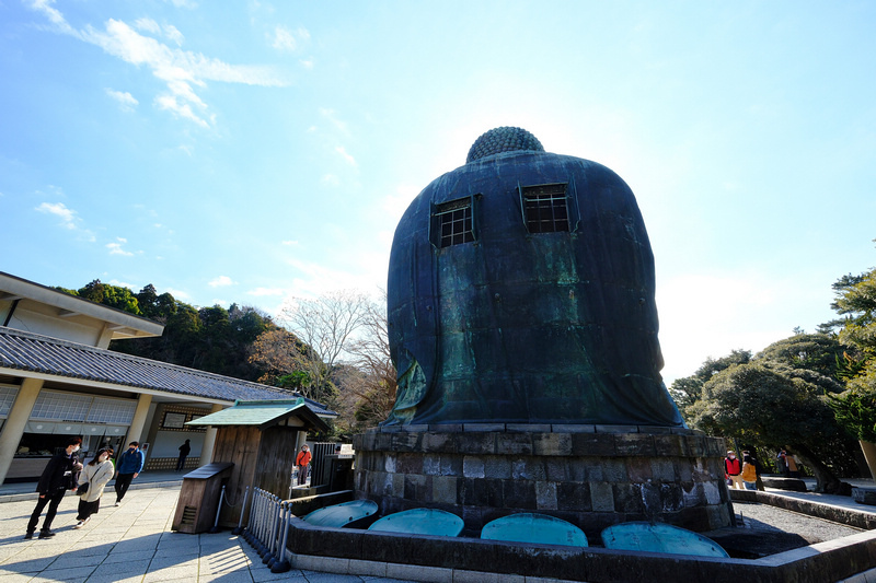 【鎌倉】鎌倉大佛殿高德院：日本第二高青銅佛像！在地神聖象徵景