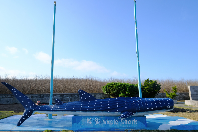 【澎湖】澎湖水族館：餵食秀超精彩！門票優惠＆海星觸摸池親子必