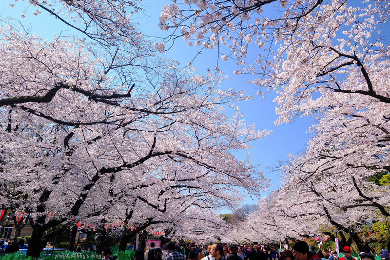 【東京上野公園】上野恩賜公園地圖攻略！櫻花楓葉＆交通美食必去