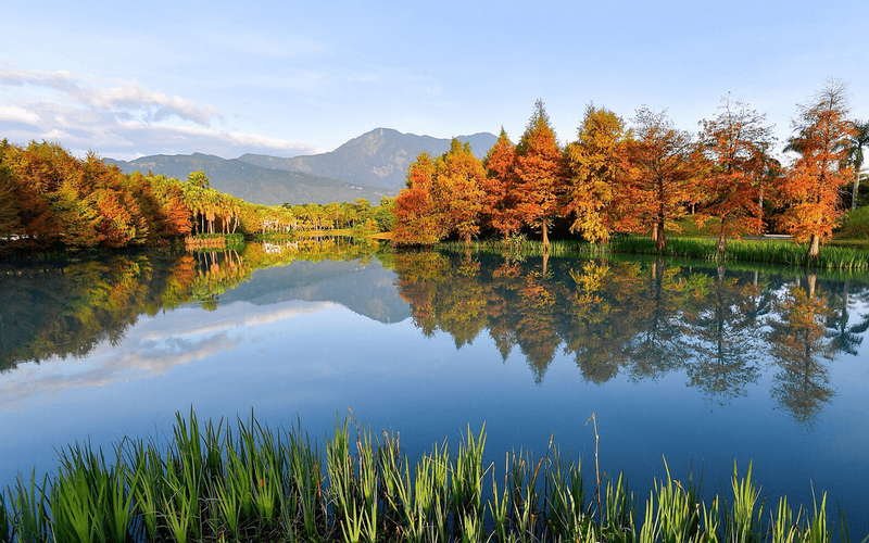 【花蓮】雲山水夢幻湖：落羽松、跳石步道＆超美湖光山色！門票民