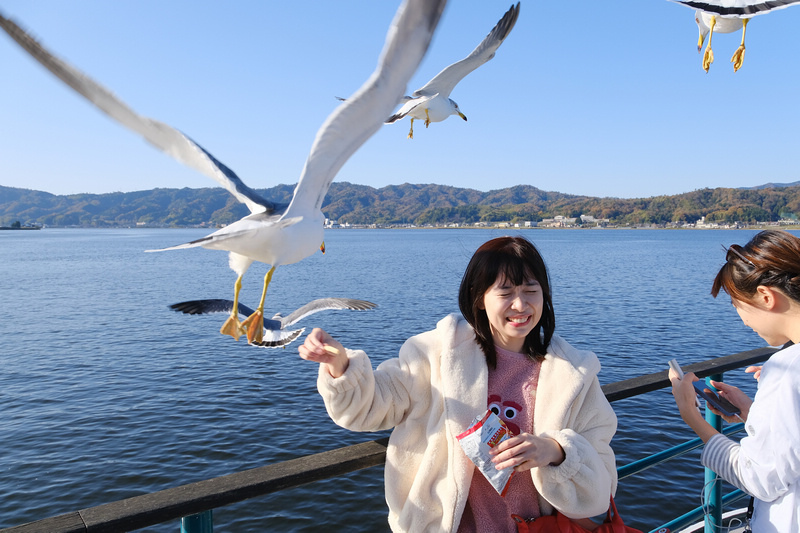 【京都】伊根舟屋：日本威尼斯美譽！搭船餵海鷗、交通＆附近景點