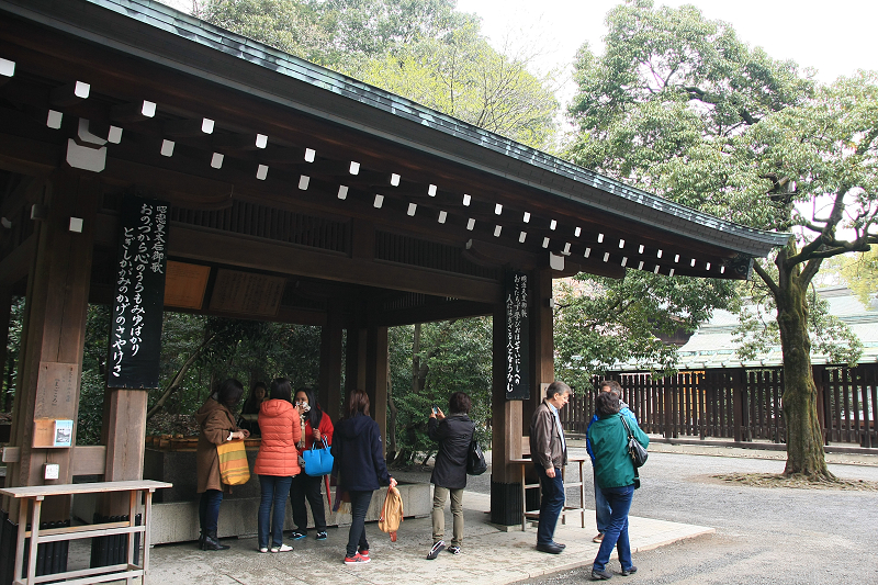 【東京】明治神宮：鳥居御守景點地圖、交通美食＆附近景點一日遊