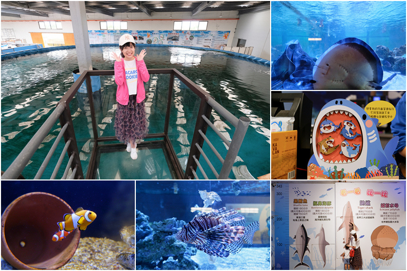 【宜蘭】金車生技水產養殖研發中心：餵鯊魚＆吃蝦蝦！門票交通餐廳彙整